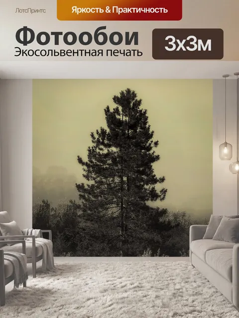 Фотообои Туман