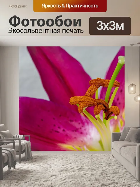 Фотообои Цветок