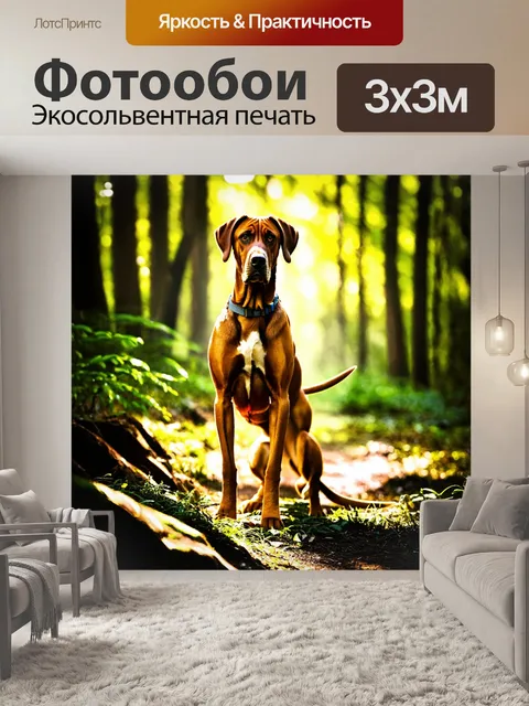 Фотообои изображение родезийского риджбека в лесу, где солнечные лучи пробиваются сквозь листву, освещая его шерсть