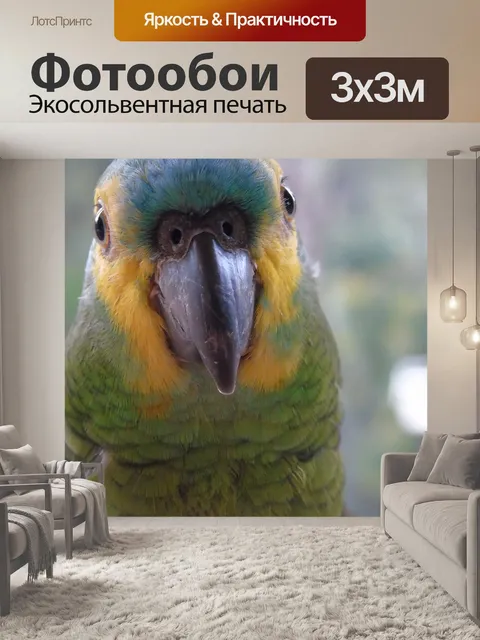 Фотообои Животные