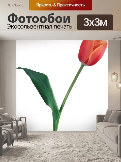 Фотообои Цветы