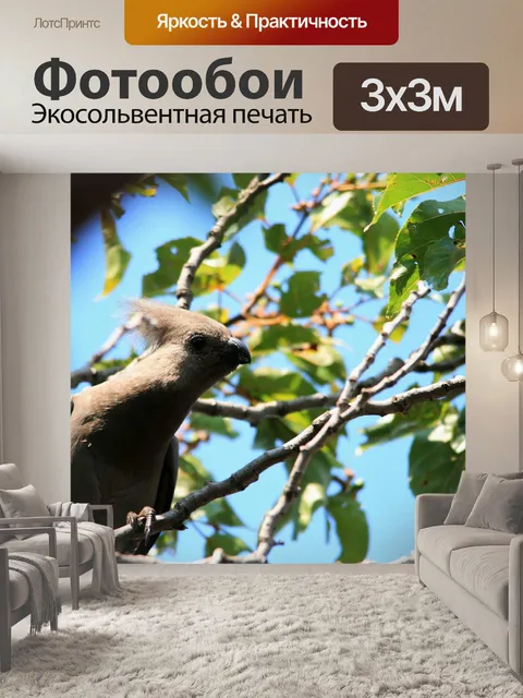 Фотообои птицы-мыши в дереве