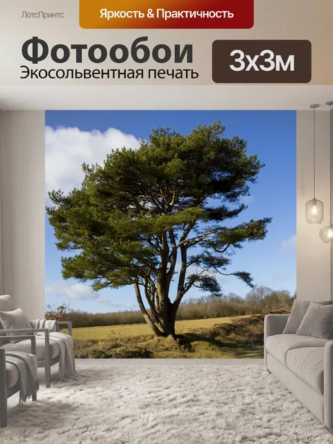 Фотообои Деревья