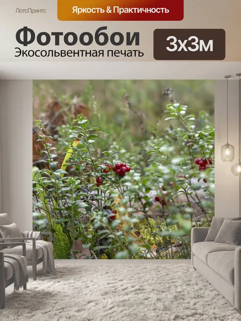 Фотообои Лес