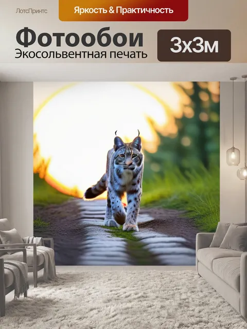 Фотообои лесная тропа с рысью на фоне заката