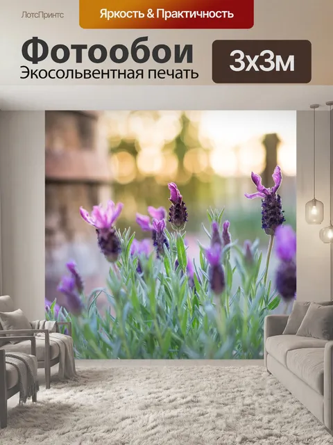Фотообои Лаванда