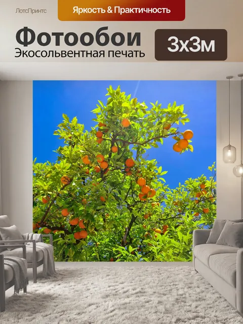 Фотообои Выращивание апельсинов