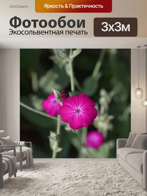 Фотообои Цветы