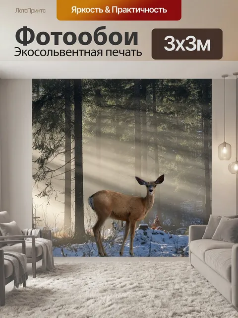 Фотообои Лес