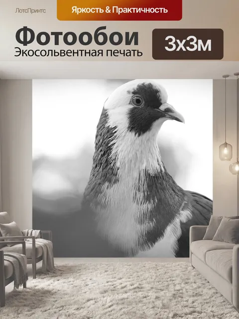 Фотообои Птица