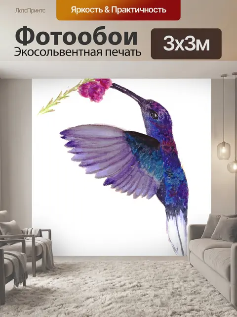 Фотообои Колибри