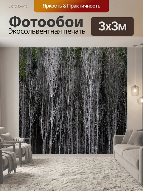 Фотообои Лес