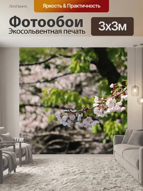 Фотообои Цветение вишни