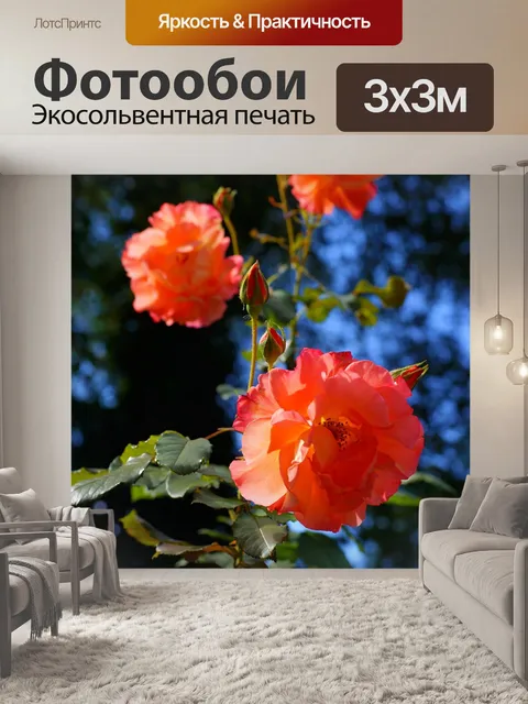 Фотообои Розы