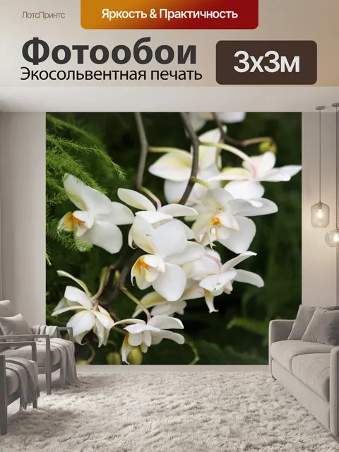 Фотообои Каскадные белые орхидеи