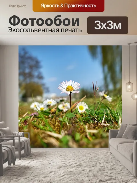 Фотообои Луг