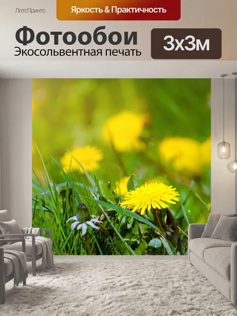 Фотообои Одуванчик