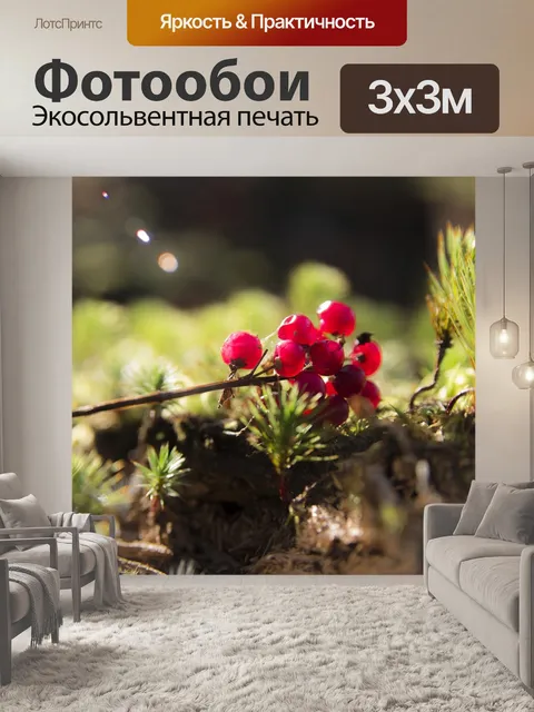 Фотообои Фрукты