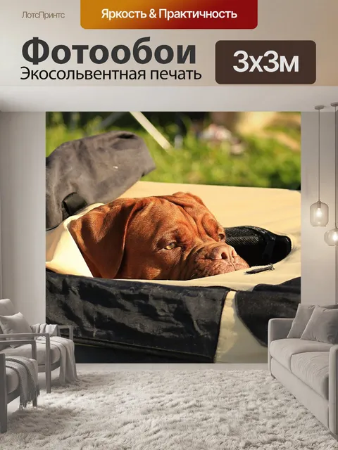 Фотообои Бордовый