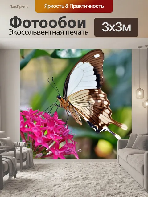 Фотообои Бабочка