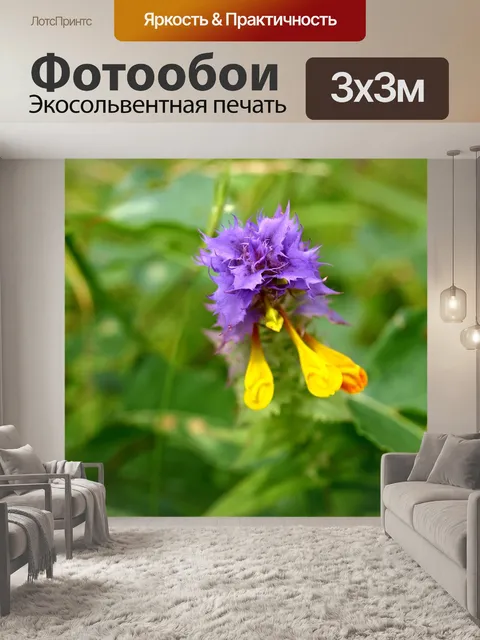 Фотообои Цветы