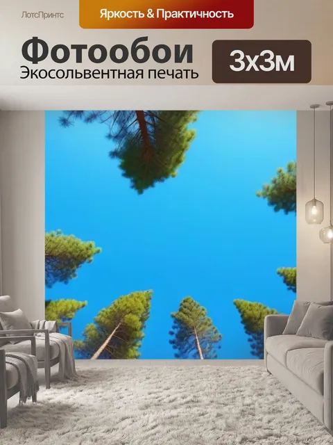 Фотообои сосны и голубое небо