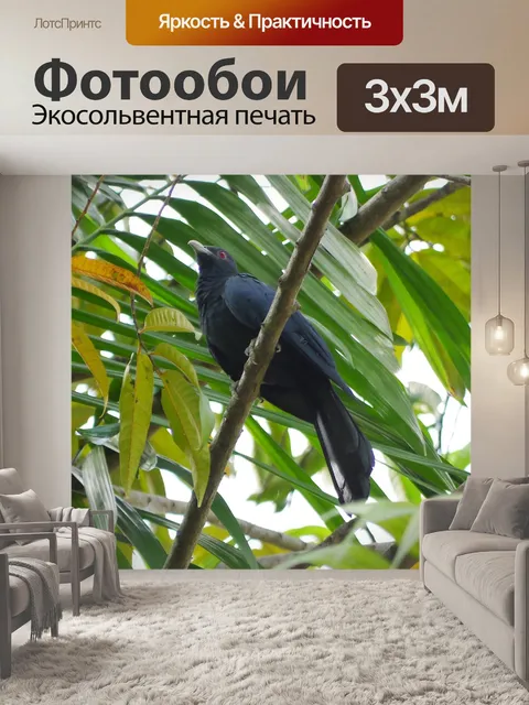 Фотообои Природа