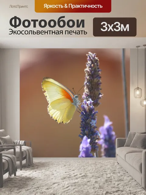 Фотообои Бабочка