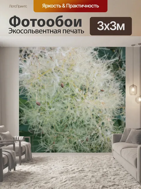 Фотообои Цветы