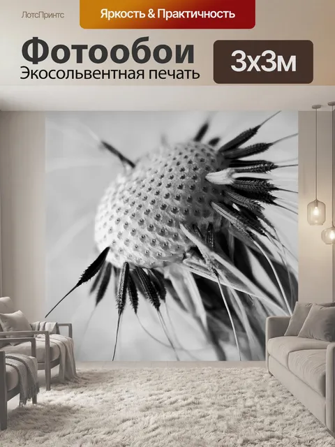 Фотообои Одуванчик