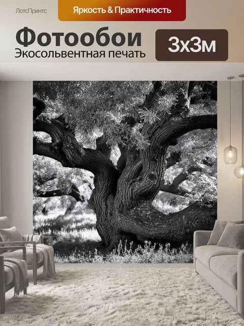 Фотообои прованс: старинные оливковые деревья с изогнутыми стволами, спрятанные среди зелени