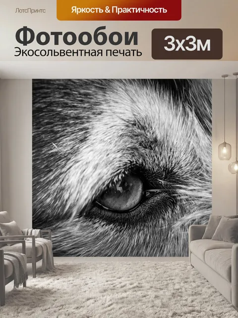 Фотообои Собака
