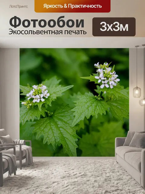 Фотообои Макро
