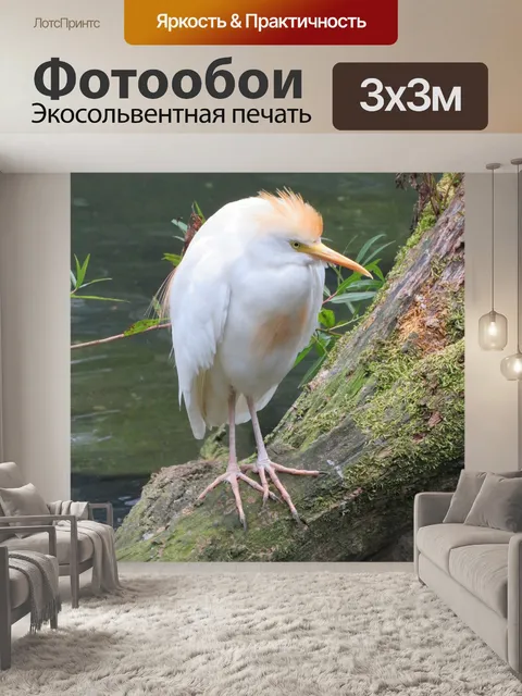 Фотообои Цапля