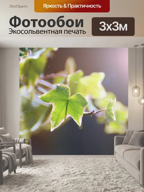 Фотообои Листья
