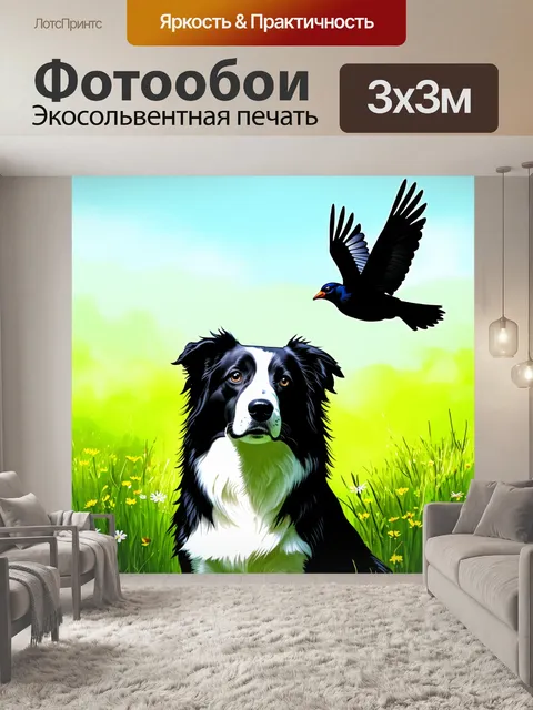 Фотообои бордер-колли, сосредоточенно следящий за летающей птицей, в окружении зелёных лугов и цветущих полевых цветов