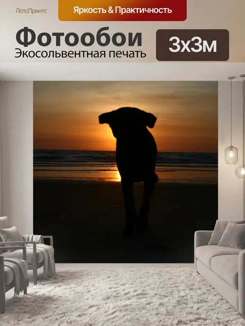 Фотообои Заход солнца