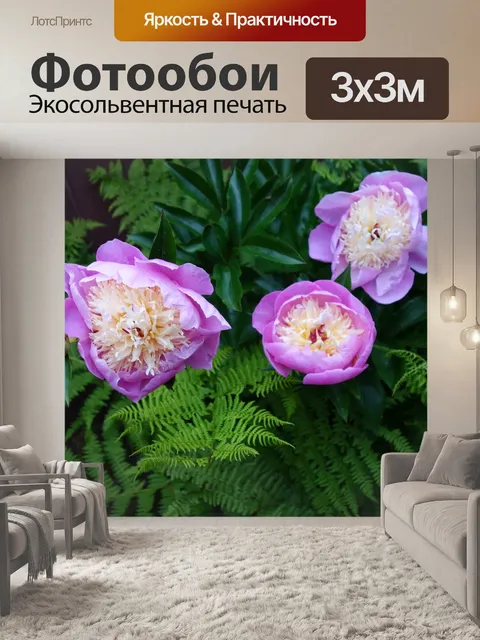 Фотообои Пионы