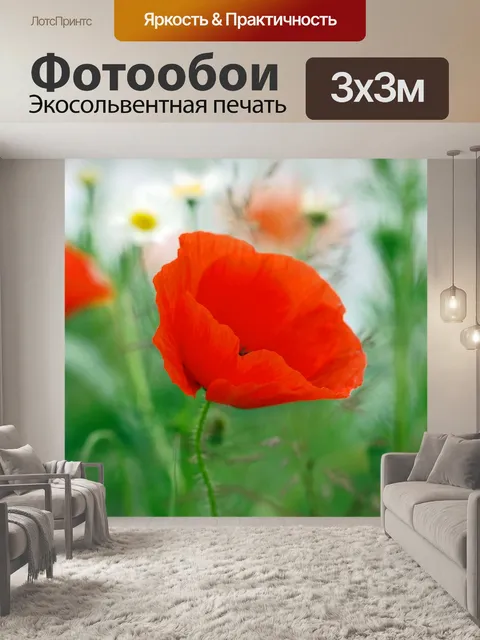 Фотообои Цветы мака