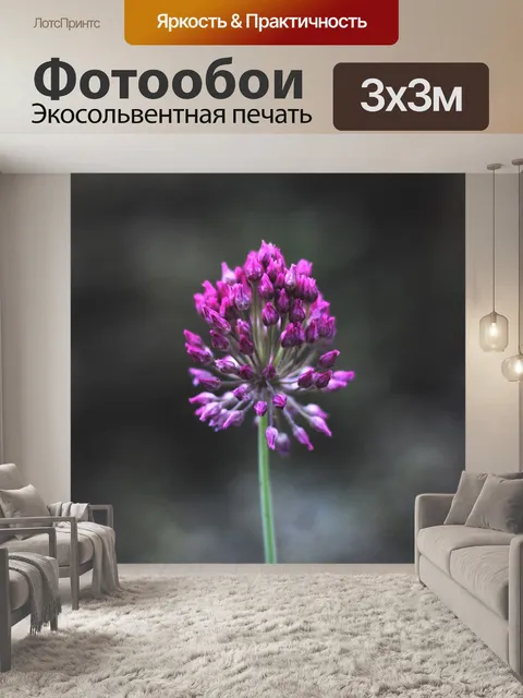 Фотообои Минимализм