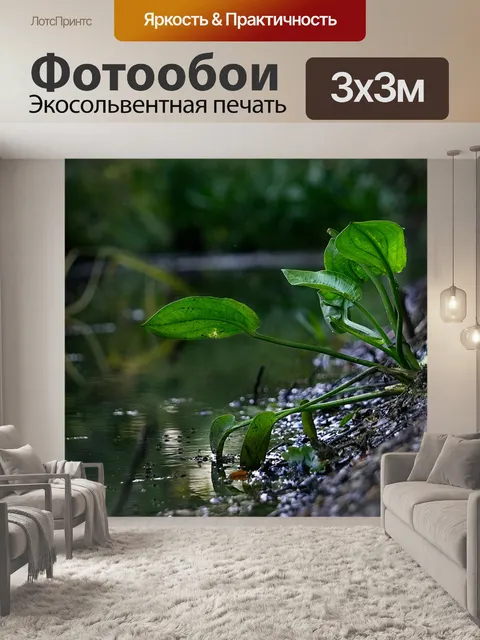 Фотообои Цветы