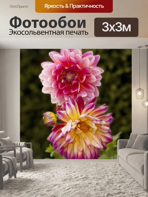 Фотообои Розы