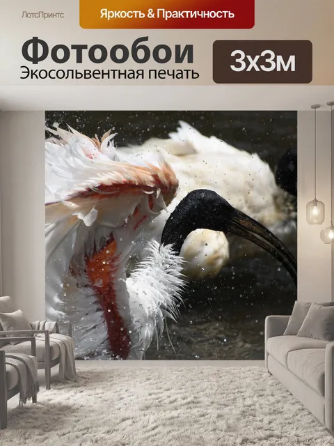 Фотообои Птица