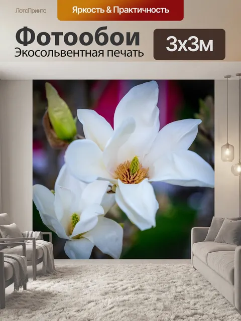 Фотообои Цветок
