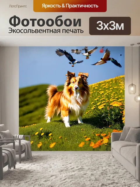 Фотообои шелти стоит на вершине зелёного холма, его золотистая шерсть сверкает на солнце