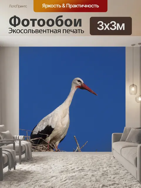Фотообои Птица