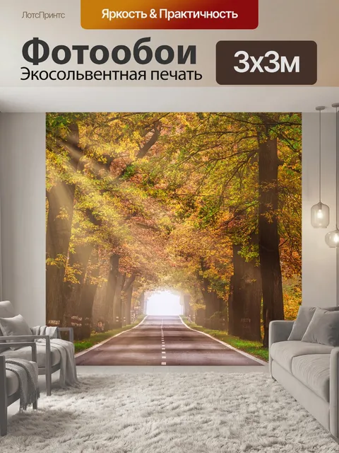 Фотообои Шоссе