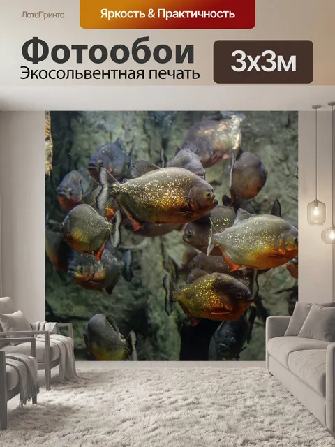 Фотообои Пираньи