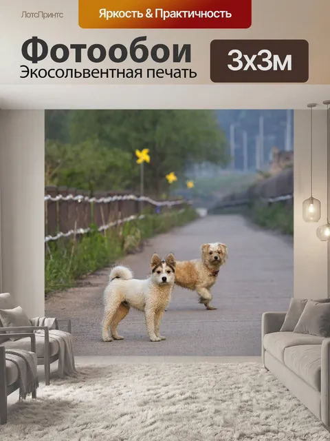 Фотообои Собака