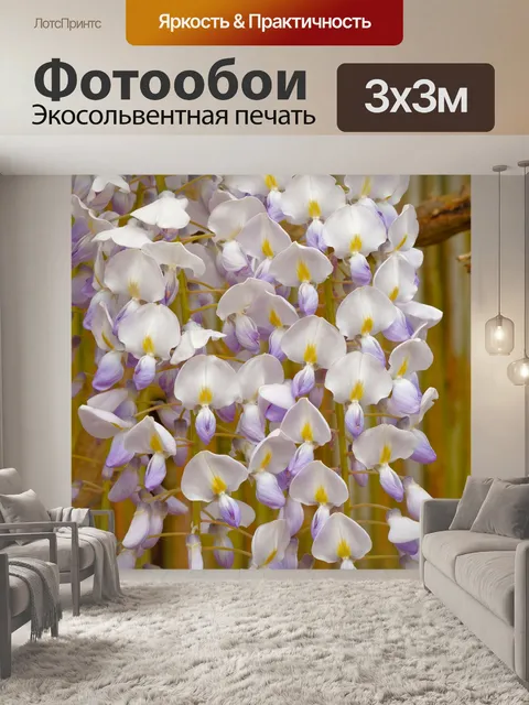 Фотообои Цветы